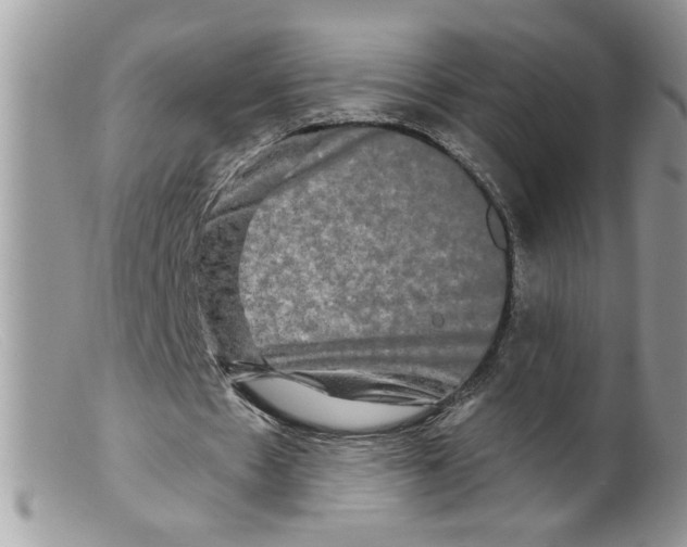 X0000098130481200805151119