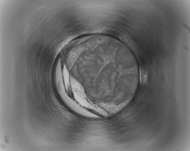 X0000098130483200805151119