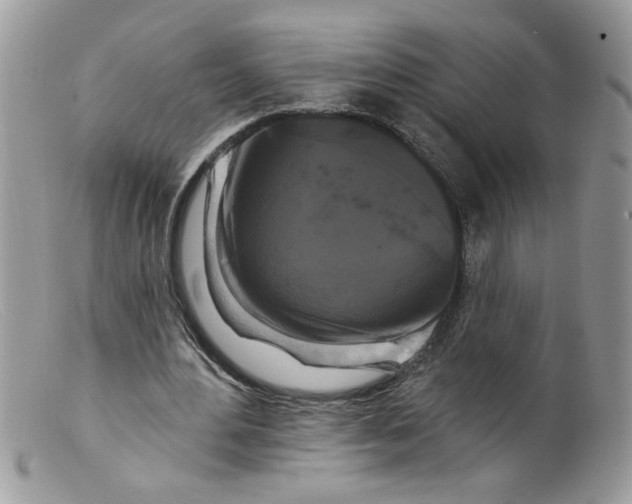 X0000098130484200805151119