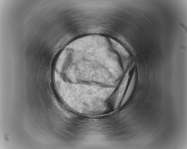 X0000098130486200805151119