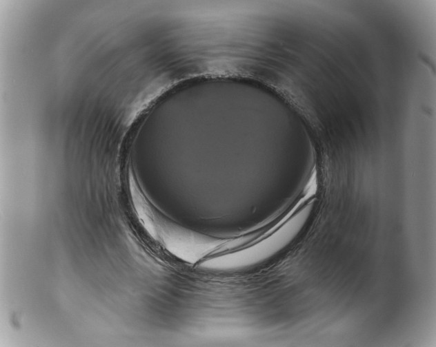 X0000098130488200805151119