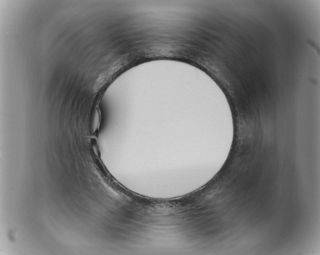 X0000098130489200805151119