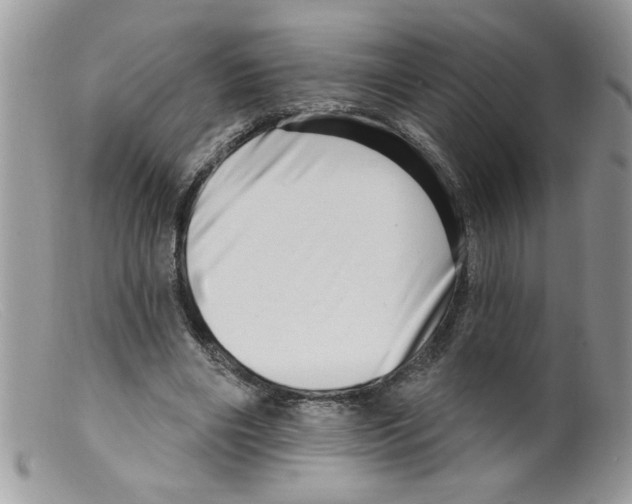 X0000098130490200805151119