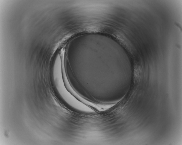 X0000098130492200805151119