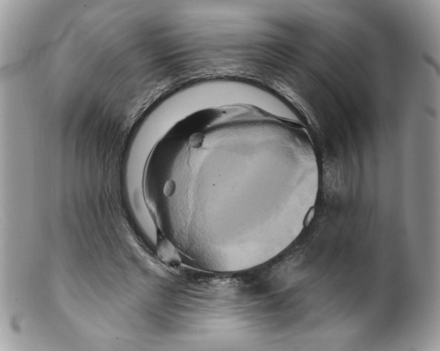 X0000098130493200805151119