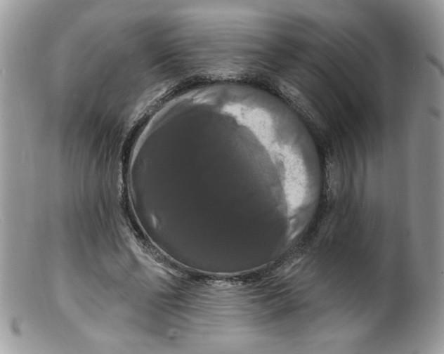 X0000098130494200805151119