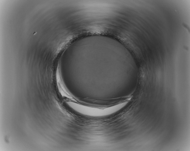 X0000098130496200805151119