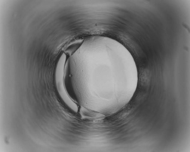 X0000098130501200805151119