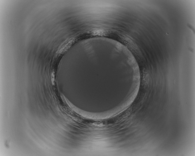 X0000098130502200805151119