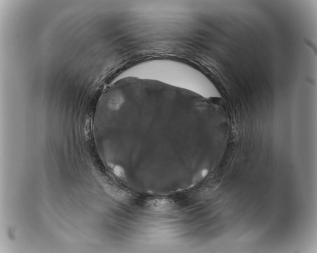 X0000098130503200805151119