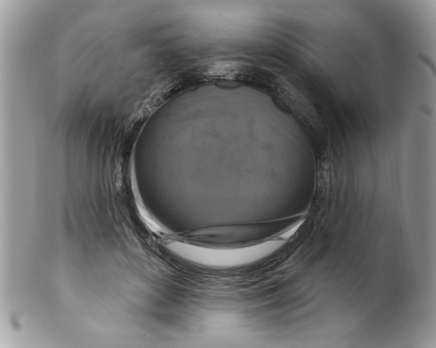 X0000098130504200805151119