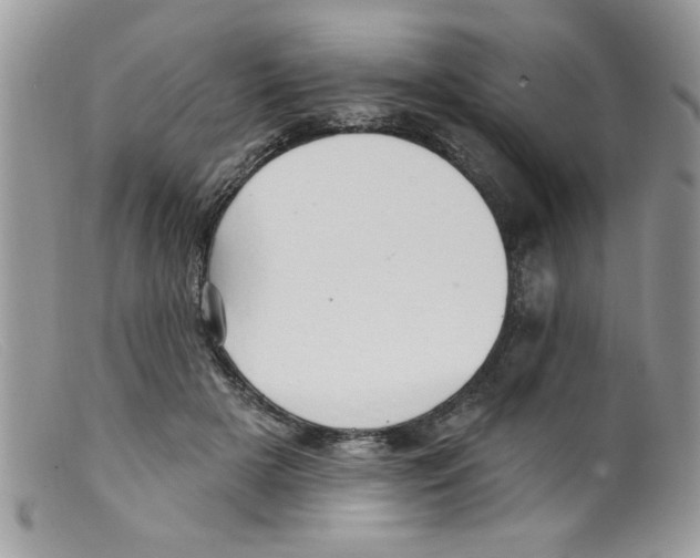 X0000098130505200805151119