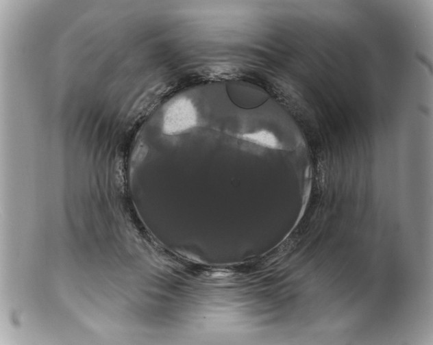 X0000098130506200805151119