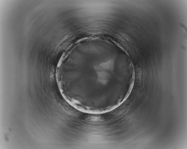 X0000098130507200805151119