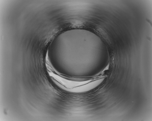 X0000098130508200805151119