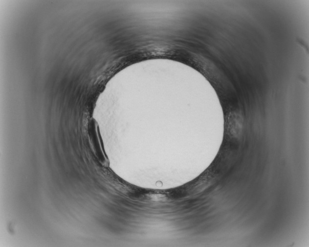 X0000098130509200805151119