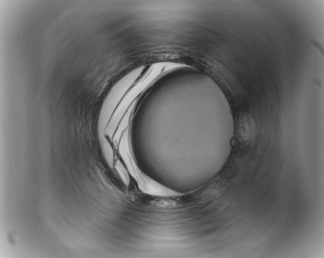 X0000098130512200805151119