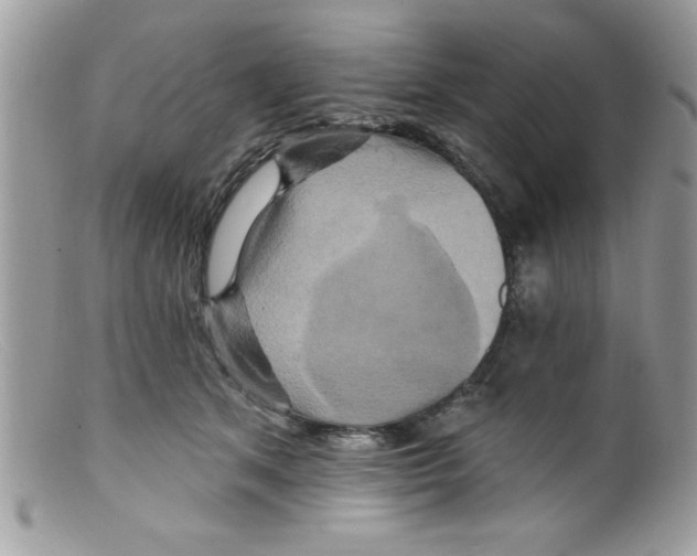X0000098130513200805151119