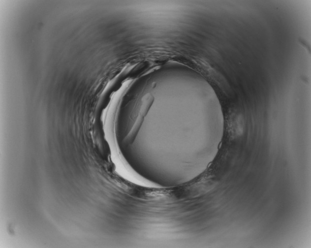 X0000098130516200805151119