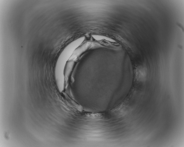 X0000098130517200805151119