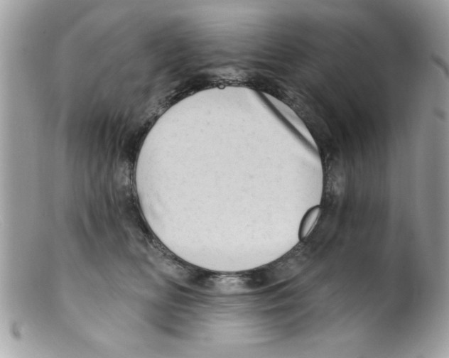 X0000098130518200805151119