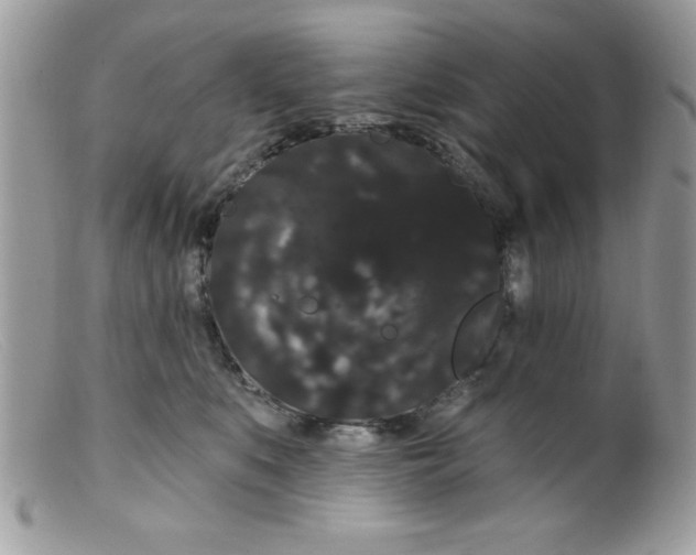 X0000098130519200805151119