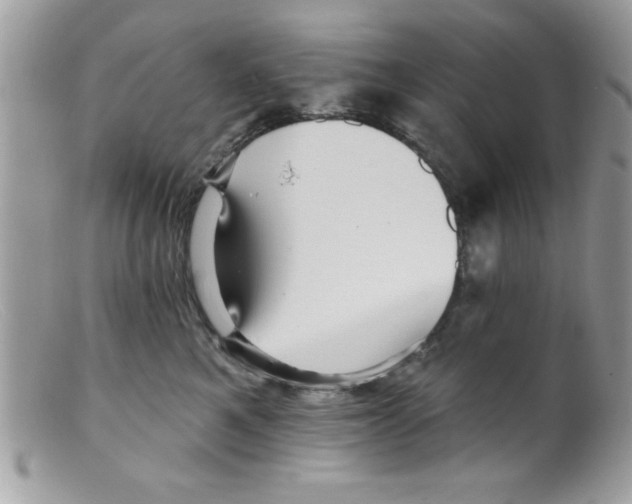 X0000098130521200805151119