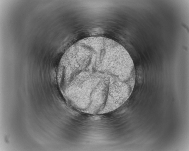 X0000098130523200805151119