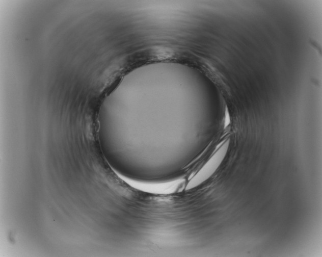 X0000098130524200805151119
