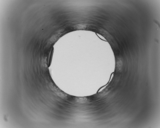 X0000098130525200805151119