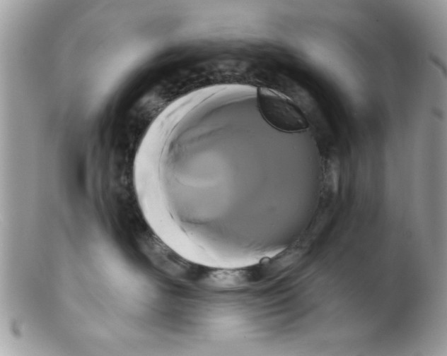 X0000098130526200805151119