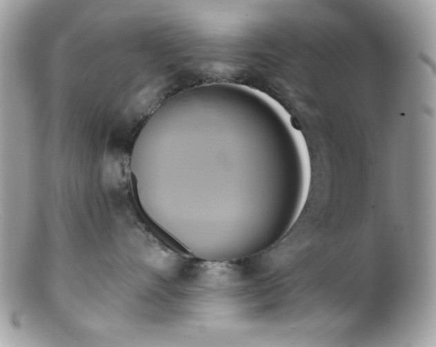 X0000098130528200805151119