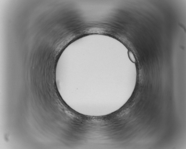 X0000098130529200805151118