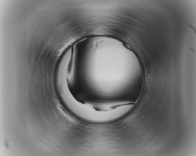 X0000098130530200805151118