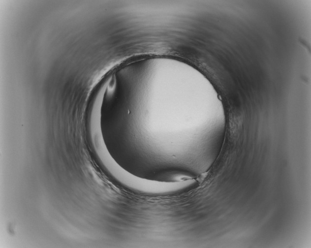 X0000098130532200805151118