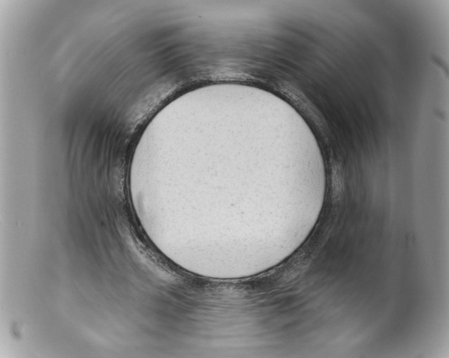 X0000098130533200805151118
