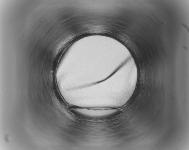 X0000098130535200805151118