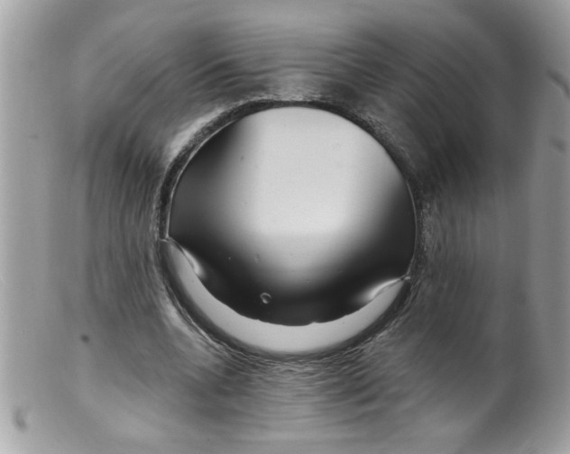 X0000098130536200805151118