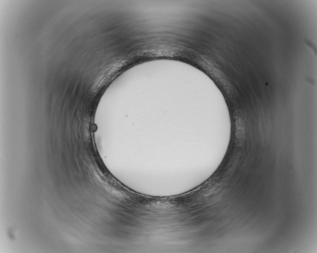 X0000098130537200805151118