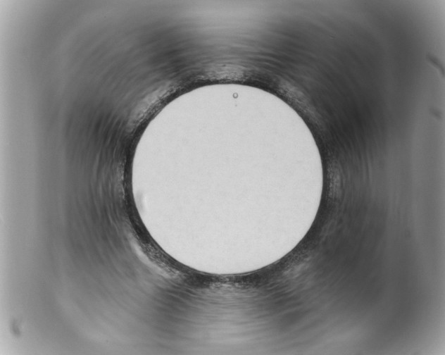 X0000098130538200805151118