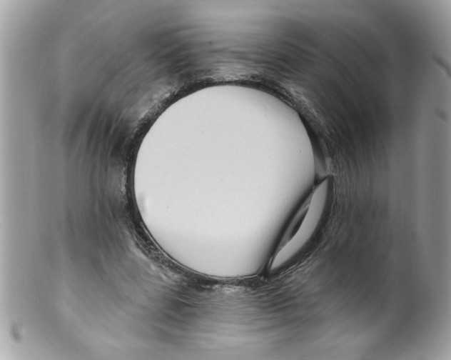 X0000098130539200805151118