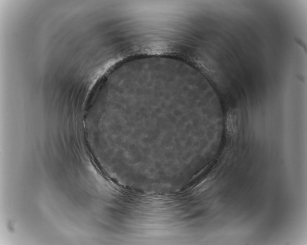 X0000098130540200805151118