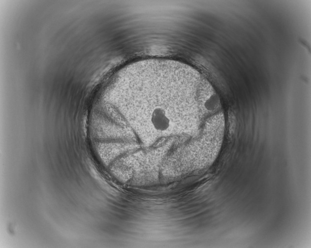 X0000098130542200805151118