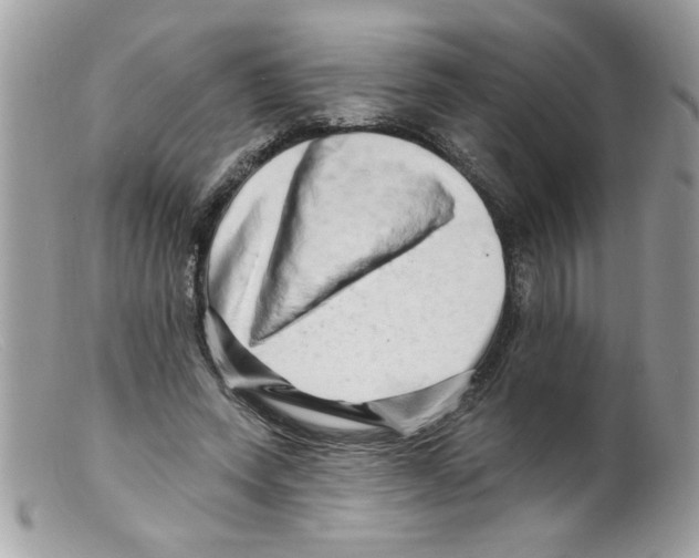 X0000098130543200805151118