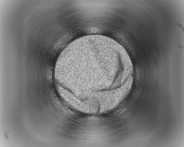 X0000098130545200805151118