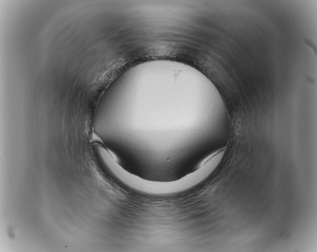 X0000098130546200805151118