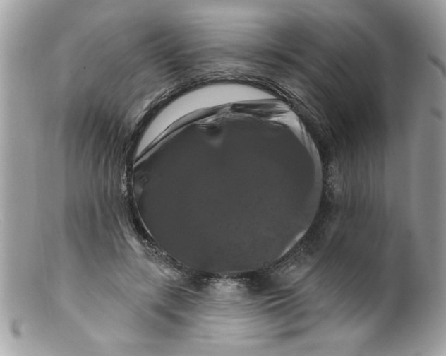 X0000098130547200805151118