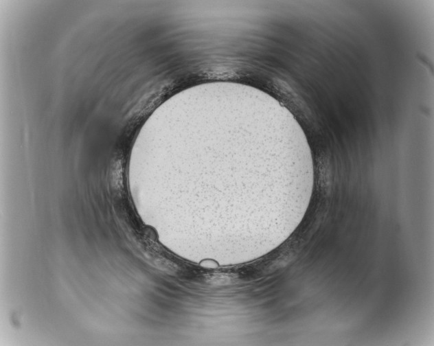 X0000098130549200805151118