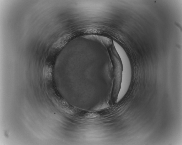 X0000098130551200805151118