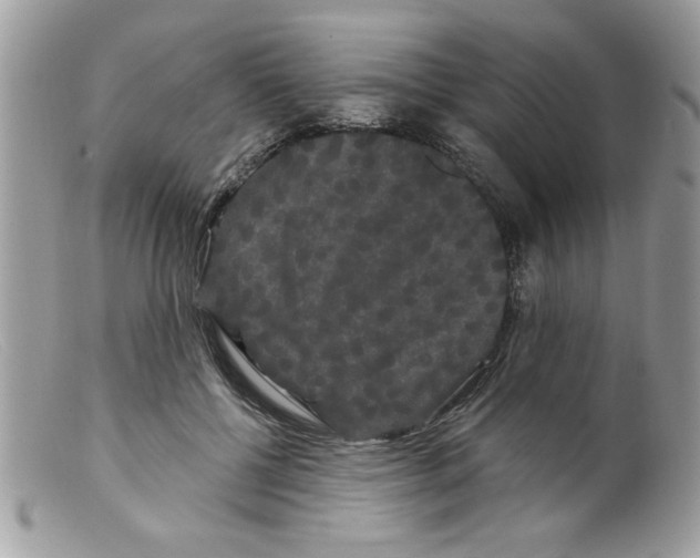 X0000098130552200805151118